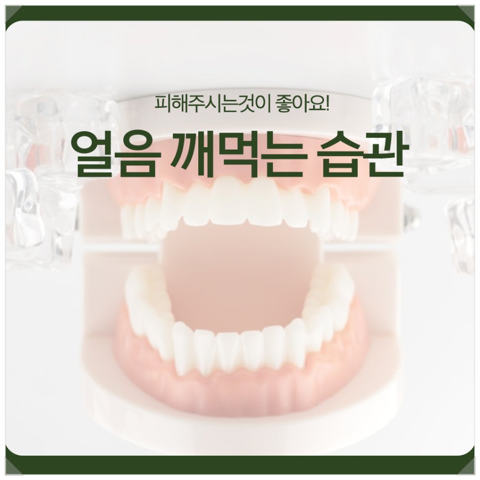얼음 깨먹는 습관, 피해주시는것이 좋아요! 관련 이미지 1