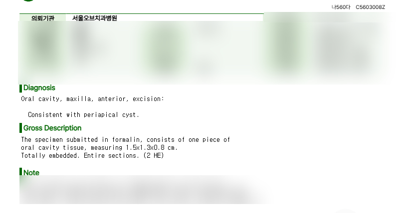 Samjeon Station Dental Clinic: A man in his 30s who visited after breaking his front tooth, and a case in which a cyst was found and implant surgery was also performed image 4