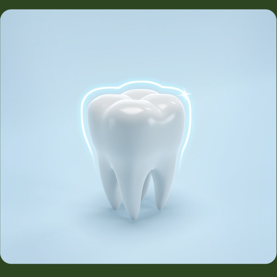 How to Store Your Toothbrush: Let’s Learn with Seoulove Dental Hospital! image 5