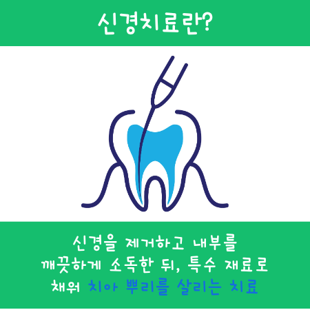 Jamsil Dental Clinic Root Canal Treatment, the Final Step to Save a Tooth image 2