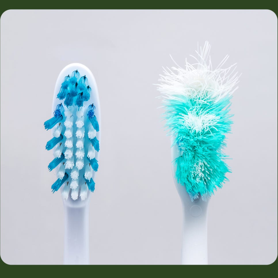 How to Store Your Toothbrush: Let’s Learn with Seoulove Dental Hospital! image 4