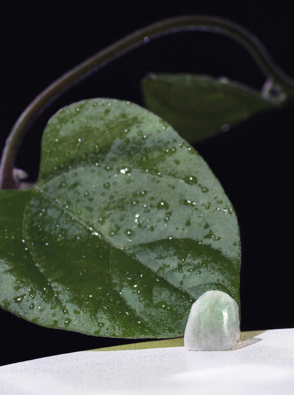 OVZERO Laminate: What Makes It Different? image 2