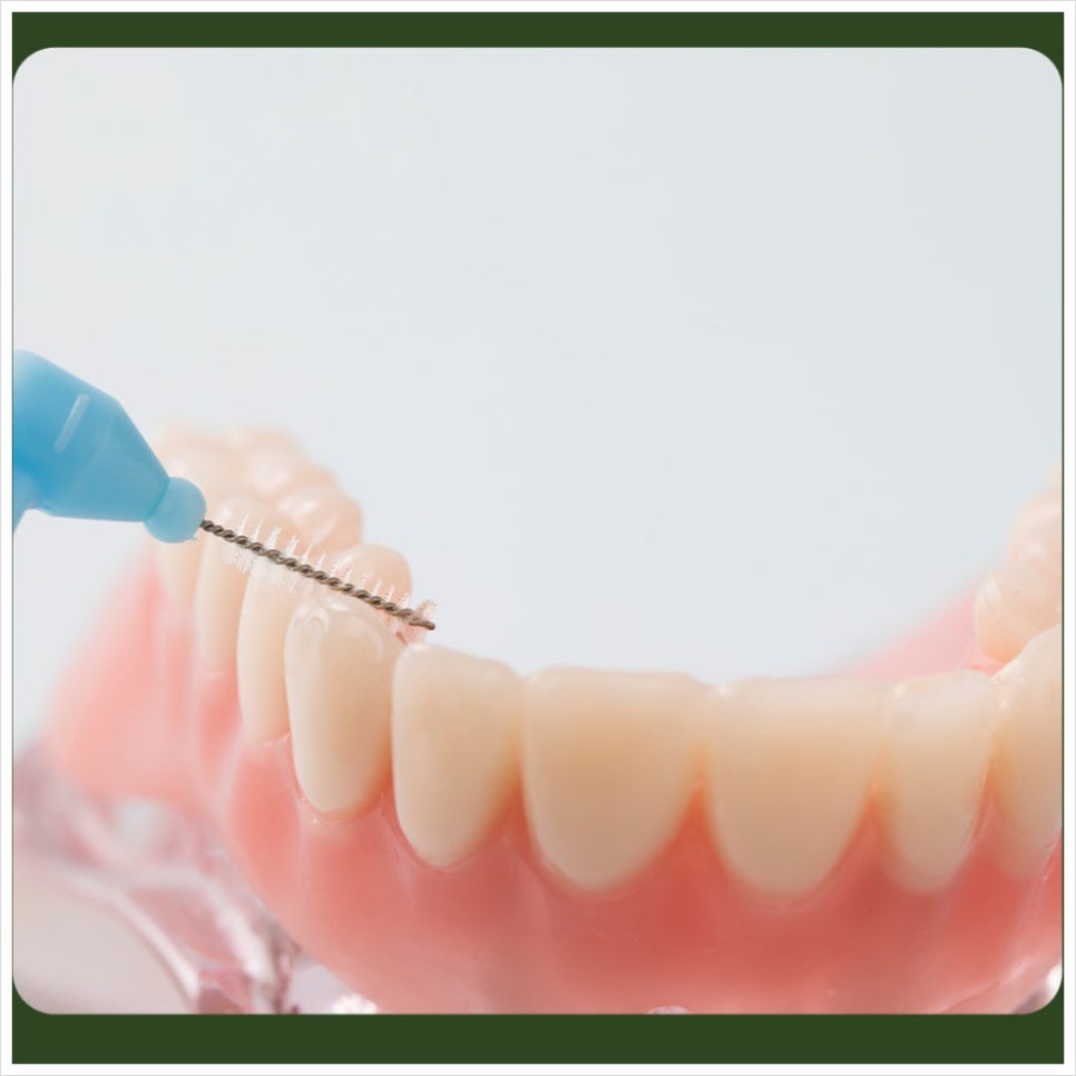 Do Interdental Brushes Need to Be Thrown Away After One Use? image 4