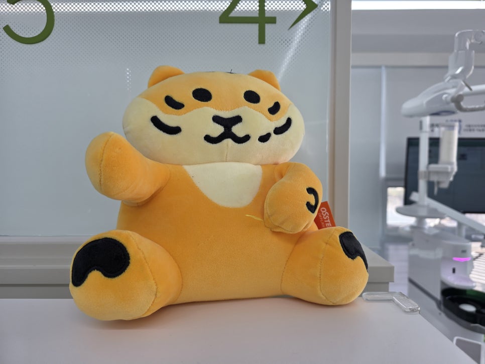 A 90s Senior Who Was Curious About Implant Insurance Pricing: How Did the Treatment Proceed? image 18