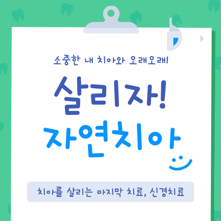 Jamsil Dental Clinic Root Canal Treatment, the Final Step to Save a Tooth image 1