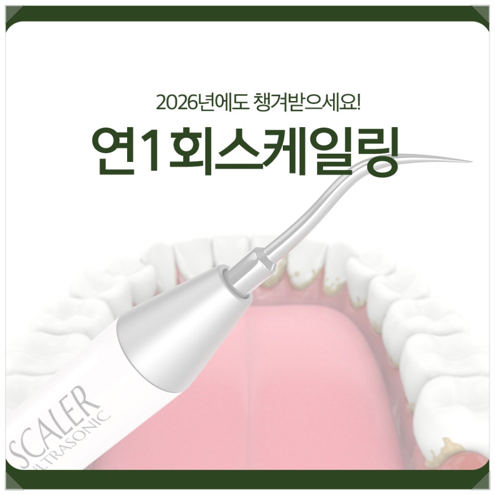 연1회스케일링, 2026년에도 챙겨받으세요! 관련 이미지 1