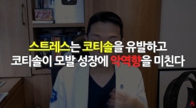 스트레스성 탈모, 다시 자랄 수 있을까? 관련 이미지 5