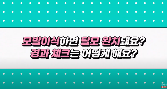 [뉴헤어] 모발이식만 하면 탈모 완치? 경과 체크는 어떻게 해요? 관련 이미지 2