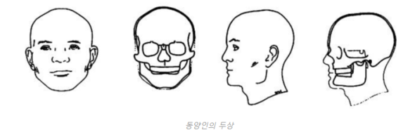 모발이식 성지 대결, 한국 VS 튀르키예(터키) 비교 관련 이미지 4