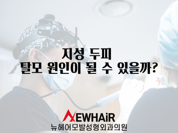지성 두피 탈모 원인이 될 수 있을까? 관련 이미지 1