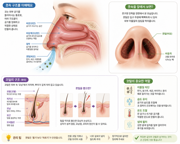 What Happens When You Pluck Your Nose Hair: A Thoughtless Habit Can Cause Inflammation image 3
