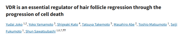 Is There Really a Connection Between Hair Loss and Vitamin D? image 1