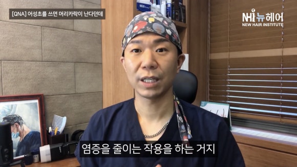 어성초가 탈모에 좋다던데... 효과가 있나요? 관련 이미지 2