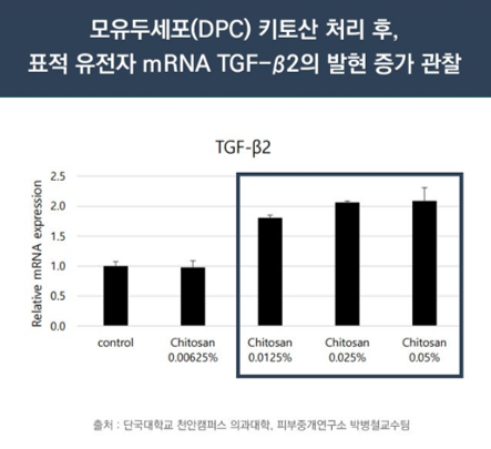 천연 소재 키토산을 이용한 탈모치료(효과, 치료방법) 관련 이미지 2