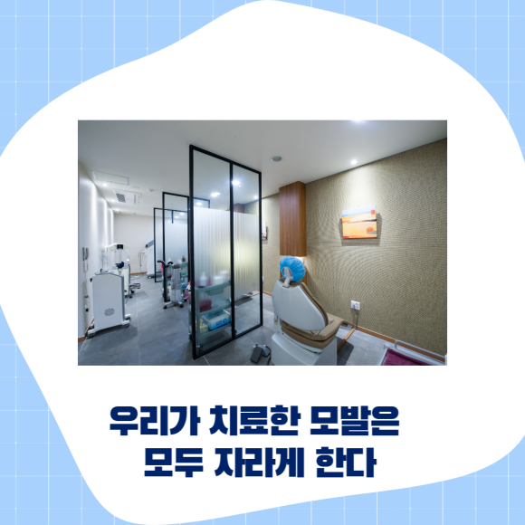 엠자탈모 확실한 치료법은? 관련 이미지 8
