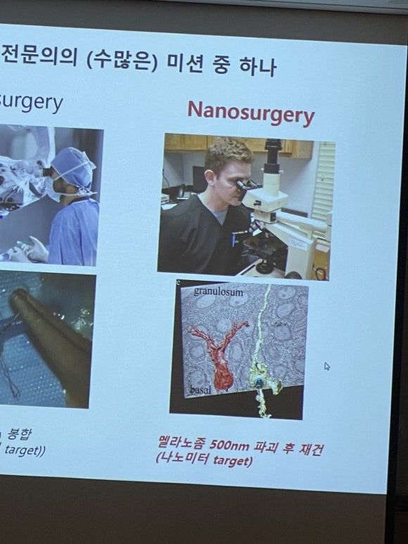2024년 6~7월 학술활동 근황(대피모, 성형외과의사회, MIPS) 관련 이미지 14