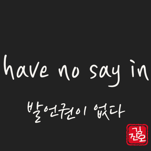 Academic English #65. have no say in: to have no say image 1