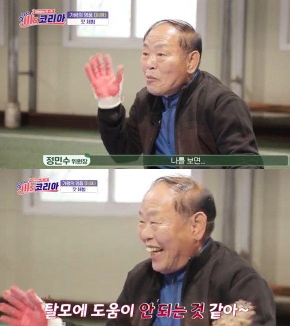 가평 잣, 탈모 치료에 효과? 관련 이미지 2