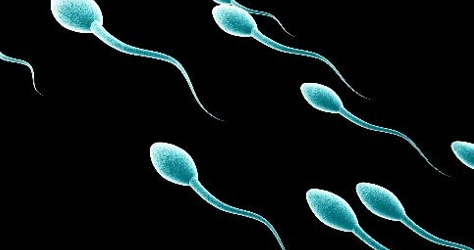 Does It Matter That Hair Loss Medication Affects Sperm Quality? image 4