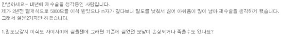 2차 모발이식 재수술 때 1차 이식모 사이에 이식하면 손상이 생기는지? 관련 이미지 1