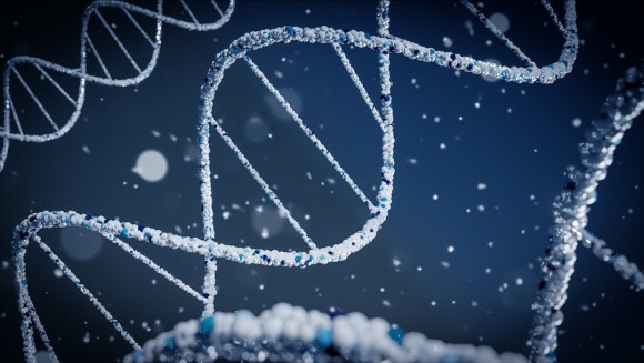 새로운 탈모치료? MicroRNA란! 관련 이미지 1