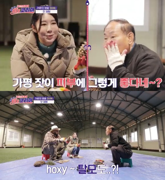 가평 잣, 탈모 치료에 효과? 관련 이미지 1