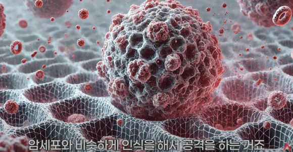 항암치료 후 탈모 극복, 이렇게 탈모치료하세요(탈모약, 영양제, 주사) 관련 이미지 3
