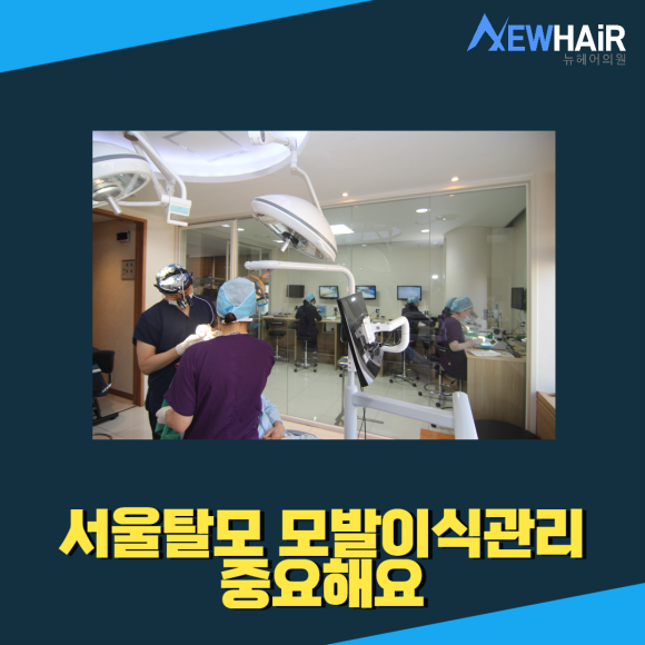 서울탈모 모발이식관리 중요해요 관련 이미지 1