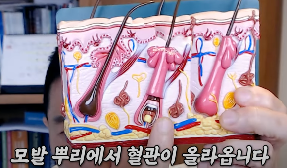 탈모 예방 이것부터 끊으세요 관련 이미지 2