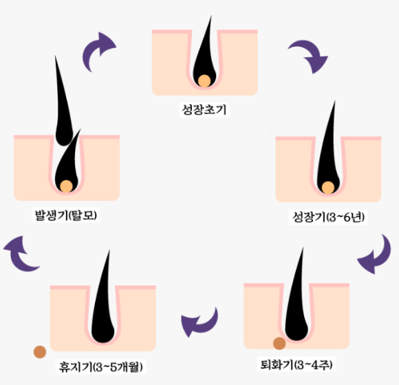 Why Does Winter Hair Loss Seem Worse When the Seasons Change? image 2