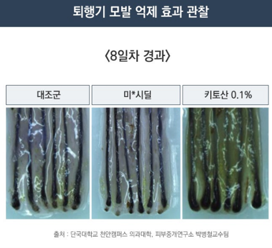 천연 소재 키토산을 이용한 탈모치료(효과, 치료방법) 관련 이미지 3