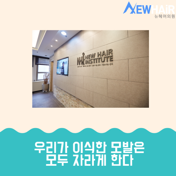 m자탈모 해결은 모발이식 관련 이미지 7