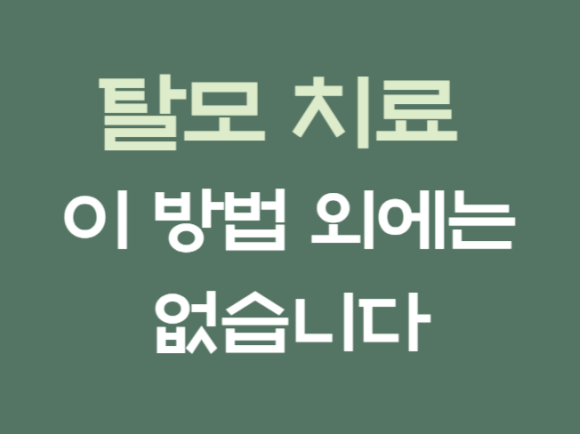 탈모 치료 이 방법 외에는 없습니다 관련 이미지 1
