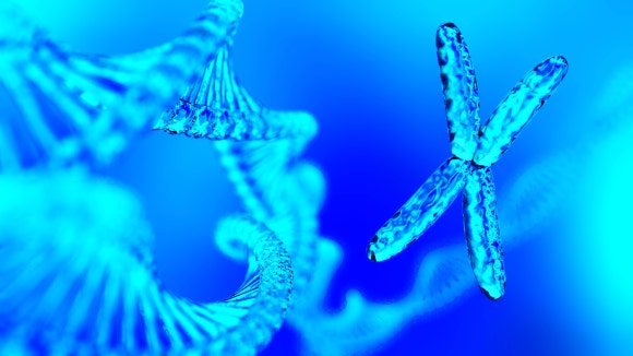 RNAi 치료제, 새로운 탈모치료 방법 관련 이미지 1