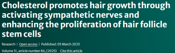 Does Cholesterol Affect Your Hair? image 1