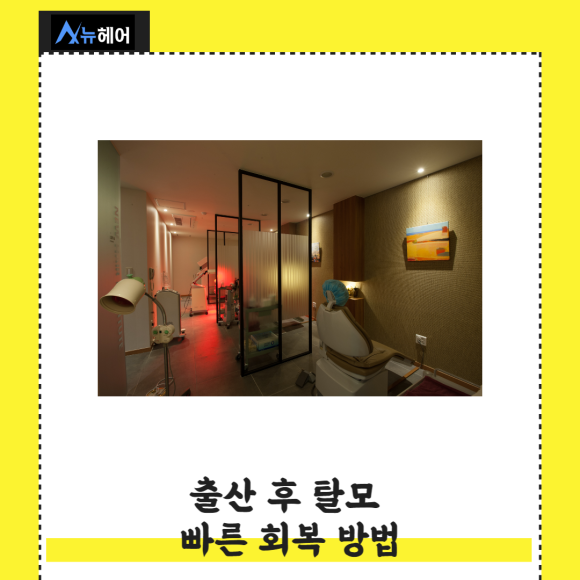 출산 여성탈모 빠른 회복방법은? 관련 이미지 4