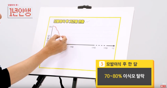 모발이식 후 결과는 언제? 암흑기 생착기간 관련 이미지 2