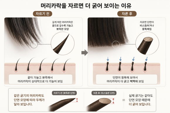아기 배냇머리 밀면 굵게 날까? 아기 머리숱과 굵기의 진실 관련 이미지 3