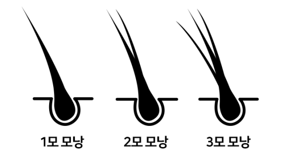 모낭마다 심는 위치가 다르다!? 관련 이미지 1