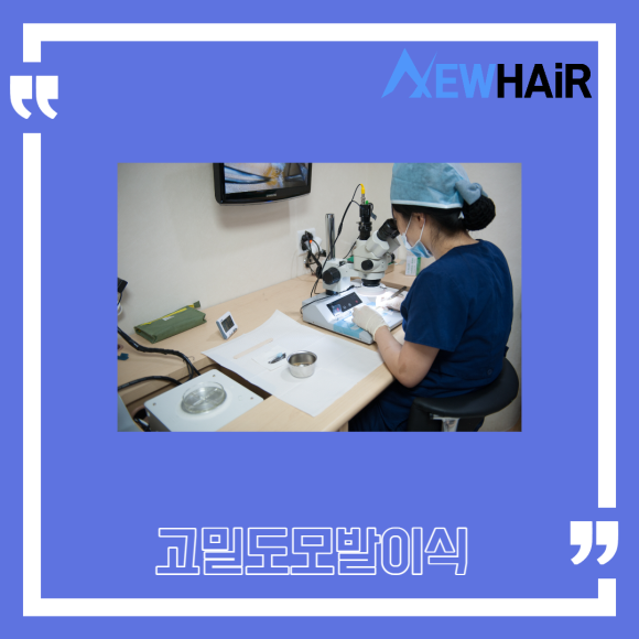 서울 모발이식 고밀도모발이식은? 관련 이미지 2