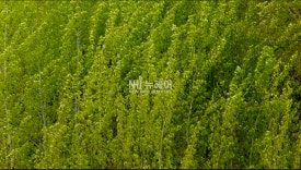 정수리탈모 관리 방법 알아보기 관련 이미지 8