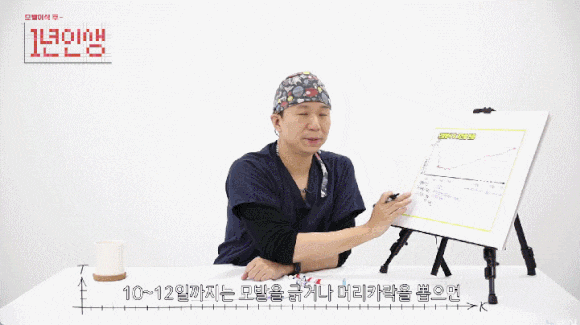 모발이식생착기간? 17년 탈모 치료 의사가 알려드립니다 관련 이미지 3