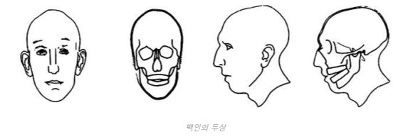 모발이식 성지 대결, 한국 VS 튀르키예(터키) 비교 관련 이미지 5