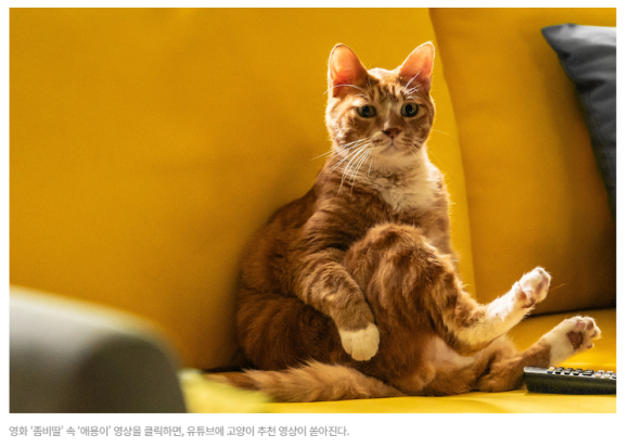 확증편향의 시대, 알고리즘을 의심하라 [김진오의 처방전 없는 이야기 - 7] 관련 이미지 4