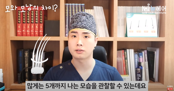 모발이식 견적 상담받기 전에 알고 가자 ㅣ 병원마다 견적이 다른 이유? l 모수와 모낭 관련 이미지 5