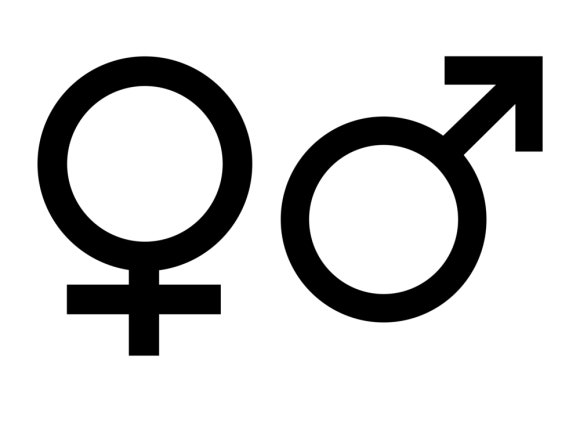 자위행위&middot;성관계가 탈모에 영향을 미칠까? 관련 이미지 1
