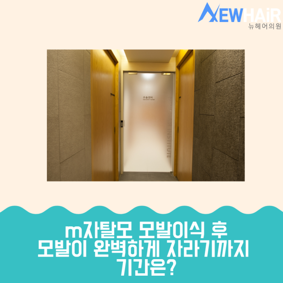 m자탈모 해결은 모발이식 관련 이미지 5