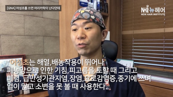 어성초가 탈모에 좋다던데... 효과가 있나요? 관련 이미지 8