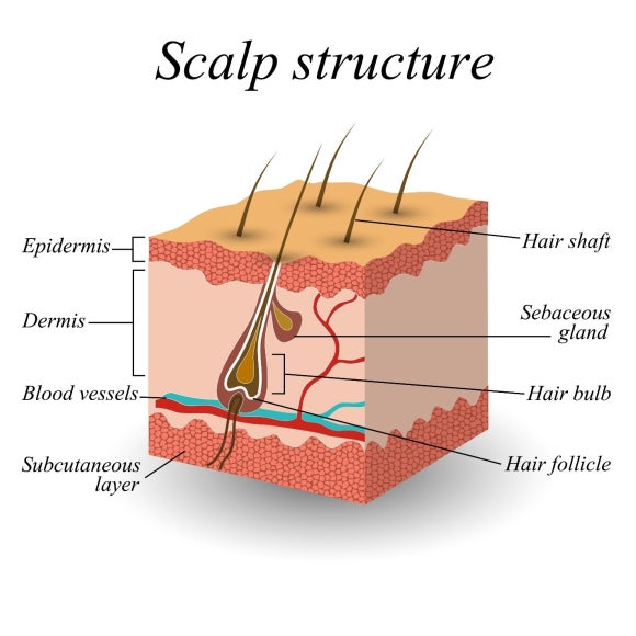 How to Increase Hair Transplant Graft Survival: Key to Recovery Without Scars image 2