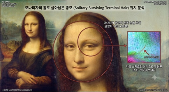 모나리자 눈썹이 사라진 이유, 전신성 원형탈모증의 흔적일까? 관련 이미지 1